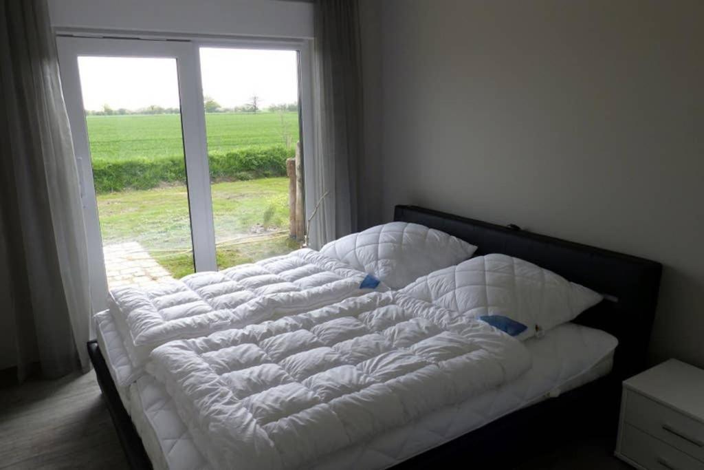 Haus Kranichfeld Wohnung A 드란스케 외부 사진